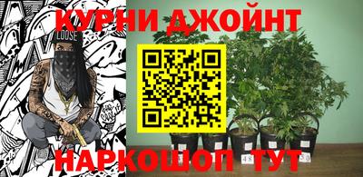 прущие грибы Кулебаки