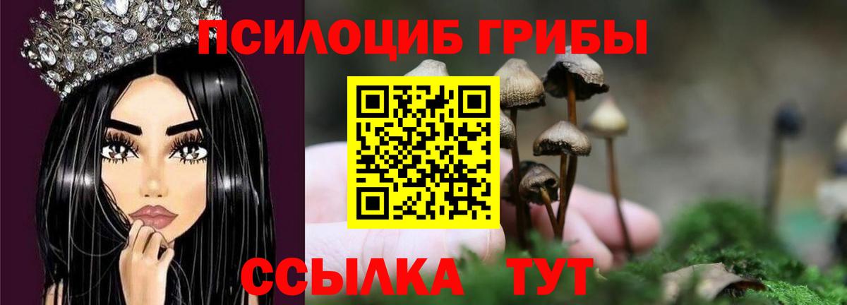 Калуга  Галлюциногенные грибы Psilocybine cubensis  купить наркотики цена  Вход с VPN 